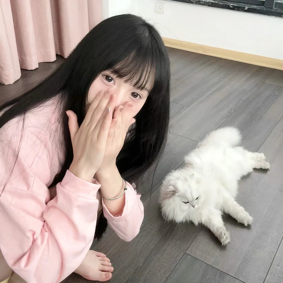 野良与皇女与流浪猫之心